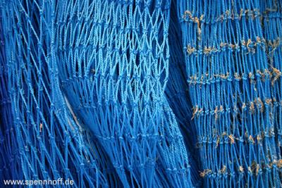 Blaues Netz